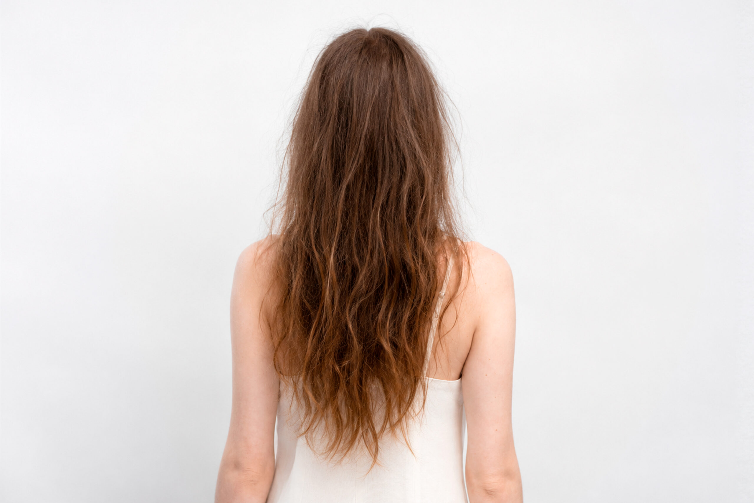Frizz Frizz