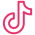 Tiktok icon